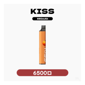 KIS5凱斯電子煙一次性/拋棄式菸桿 6500口